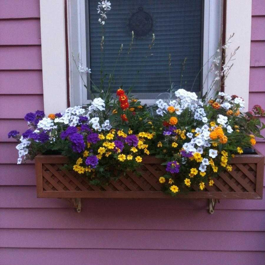 Rose & Thistle Bed & Breakfast Cooperstown Exterior foto